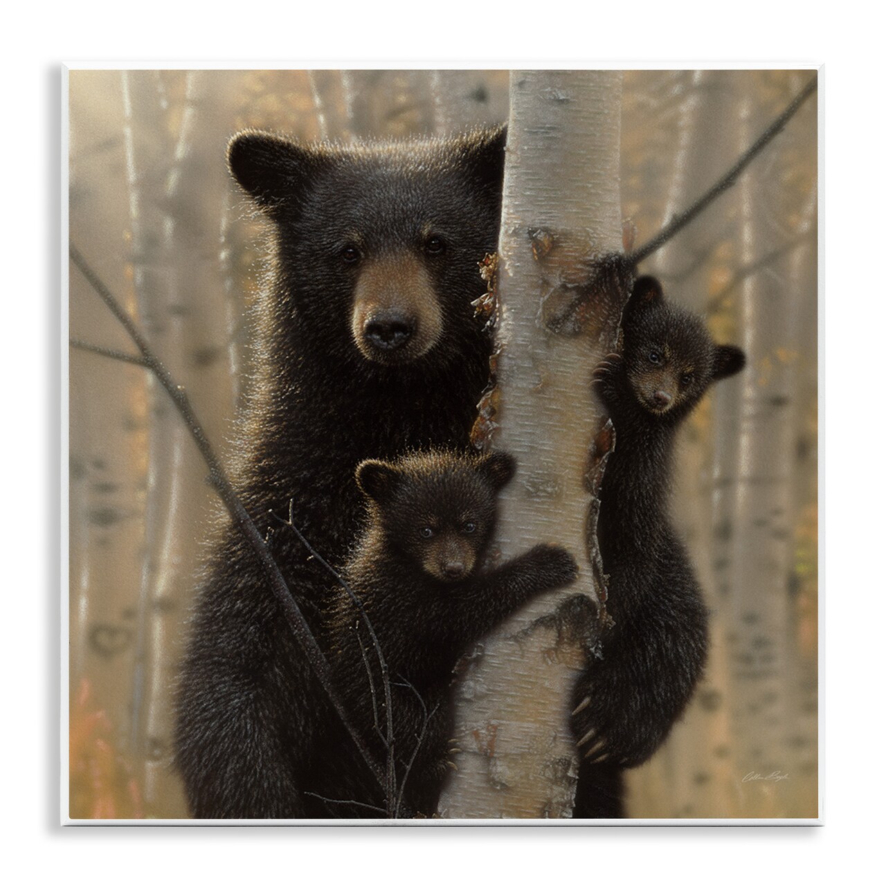 Stupell Industries Forest Black Bear and Cubs Wall Plaque Art